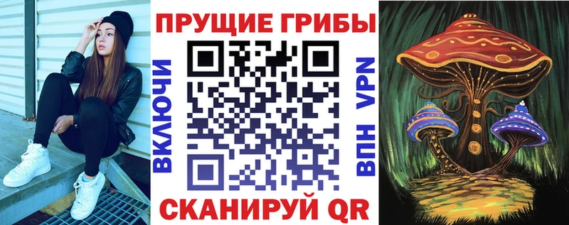 Галлюциногенные грибы GOLDEN TEACHER  наркота  Первомайск 